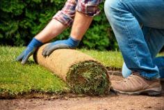  Synthetic Turf Installer Sydney for Stunning Yards Elevate your outdoor living with Gunners Landscapes, the premier Synthetic Turf Installer Sydney. We install high-quality synthetic turf that mimics natural grass without the hassle. Perfect for busy homeowners or businesses, our turf is weather-resistant and visually appealing. Enjoy a pristine lawn year-round with our professional installation services. Reach out today for a quote. 