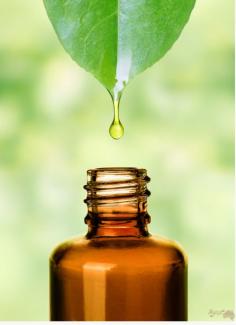 Discover natural healing at the best Ayurvedic clinic in Sydney, where ancient wisdom meets modern wellness. Our expert practitioners offer personalized treatments, herbal therapies, and lifestyle guidance tailored to your body type and health goals. Whether you're seeking relief from chronic pain, stress, digestive issues, or simply want to enhance your overall well-being, our holistic approach ensures lasting results. Using time-tested Ayurvedic techniques, we help restore balance and harmony to mind, body, and spirit. Step into a sanctuary of healing and rejuvenation. Experience authentic Ayurveda in the heart of Sydney and embrace a healthier, more vibrant life.