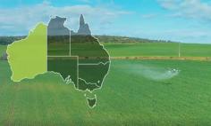  How Drones and Planes Are Revolutionising Farming Browse:  https://multiaccessdrones.com.au/how-drones-and-planes-are-revolutionising-farming-in-western-australia/ Discover how Western Australian farmers are tackling unprecedented rainfall with cutting-edge aerial technology. Innovation is transforming agriculture and ensuring no crop is left behind. Multi Access Drone Solutions is a leading provider of innovative drone services in Queensland, specialising in large-scale projects across various industries. 