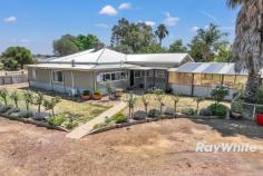  174 Bennett Road Nanneella VIC 3561 $640,000 to $670,000 Escape to the serene countryside with this delightful home nestled in the picturesque locale of Nanneella. This charming home offers the perfect blend of comfort and modern living, making it an ideal retreat for families. Located in the quaint town Nanneella which is only 15 mins to Echuca or 10 minutes to Rochester townships. PROPERTY HIGHLIGHTS The home sits on appx 3056sqm of land and features a 60 x 30 meter workmans shed and a large inground salt chlorinated pool with a rumpus room. There is a fabulous outdoor undercover entertaining area as well. Solar on the roof of the shed connected to the home for power saving meausres. In addition there are 2 x 5000L gallon water tanks, and 1 Megalitre of stock and domestic water, some extra smaller shedding for storage and undercover parking for 2 cars. The home has recently been freshly painted throughout, with new blinds and furnishings throughout. INSIDE THE HOME - **Spacious Living:** The inviting living room features ample natural light and a cozy atmosphere, with a fire place perfect for relaxing with family or entertaining guests. In addition there is a large study/hobby room or sunroom. - **Gourmet Kitchen:** The well-appointed kitchen is well equipped with modern appliances with a new 900mm electric stove with an induction cooktop, a dishwasher, a new split system for cooling and heating, plenty of storage, generous bench space, making meal preparation a breeze. Enjoy family meals in the adjoining dining room, which overlooks the spacious backyard. - **Tranquil Bedrooms:** The three comfortable bedrooms provide a peaceful sanctuary, each designed with relaxation in mind. The layout ensures privacy and tranquility, ideal for restful nights. 2 of the bedrooms have built in robes. - **Convenient Amenities:** With a well-designed bathroom, this home offers convenience for busy households. Additional features include a dedicated laundry area with a washer, ample storage solutions, and energy-efficient solar panels. - **Outdoor Oasis:** Step outside to your own spacious private paradise! The expansive backyard is ideal for playtime, pets and relaxation. Perfect for outdoor activities or simply enjoying the fresh air. The outdoor patio and pergola offer ideal spots for summer barbecues and gatherings, and the large outdoor inground pool with an adjoiing rumpus room or storage while the surrounding trees and vegetation create a serene atmosphere. - **Community and Nature:** Located in a friendly neighborhood, with a small primary school nearby and the town of Rochester only a short drive away this property is surrounded by nature, and rural farms providing endless opportunities for outdoor adventures. Enjoy the tranquility of rural living while still being within easy reach of local amenities. This property at 174 Bennett Road is not just a house; it's a place to call home. Whether you're looking for a peaceful retreat or a family-friendly environment, this charming home on a generous allotment is ready to welcome you. Don't miss your chance to own this slice of paradise in Nanneella! 