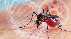  Climate change is fueling the rise of mosquito-borne diseases like Dengue and Malaria, with extreme weather creating ideal breeding conditions. Increased rainfall and stagnant water boost mosquito populations, raising infection risks. Protect yourself with  san air   Mozzyno, insect repellents, and mosquito-proofing your home. Eliminating standing water and wearing protective clothing are key steps to reducing exposure to disease-carrying mosquitoes. Read More Here ! 