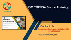  IBM TRIRIGA Online Training Top & Best Rank of Banglore 2025  is a  top-tier  Integrated Workplace Management System (IWMS)  used   to   enable  organizations  to   maximize  real estate, facilities, and asset management. It  offers  a  unified  platform for space planning, lease  management , capital project management, and energy sustainability.  With   more   and   more   companies embracing  digital transformation  in  facility management,  experts   skilled   in  IBM TRIRIGA  are in high demand. 