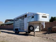  Horse Transport Services: Safe and Reliable Travel for Your Horse Horses have a unique dental anatomy that sets them apart from other animals.  Ensure your horse’s safe journey with our expert transport services. We prioritize comfort and care, making each trip smooth for your equine friend. 