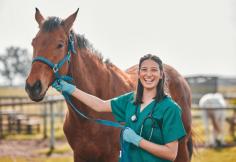 How to Find the Best Horse Veterinarian Near You Looking for the best horse veterinarian? Learn how to find a trusted vet near you for expert care and services to keep your horse healthy and happy. 