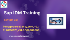  SAP Identity Management (SAP IDM) gives a sturdy, centralized platform for coping with person identities, provisioning get entry to rights, and making sure compliance across hybrid environments. Our "Master SAP IDM Online – Complete Identity Management Training" direction is designed to equip you with the capabilities and understanding needed to end up a talented SAP IDM consultant or administrator. info@proexcellency.com , +91-9148251978,+91-90089068 