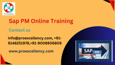  SAP PM (Plant Upkeep) is a crucial functional module in SAP that supports the planning, scheduling, execution, and recording of maintenance tasks. It assists make sure the dependability and performance of crucial tools and machinery by offering tools for inspection, maintenance preparation. https://www.proexcellency.com/products/sap-pm-online-training info@proexcellency.com , +91-9148251978,+91-9008906809 