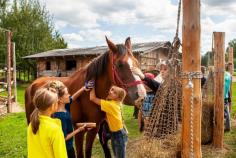  Horse Turmeric Powder: Powerful Natural Anti-Inflammatory Aid Discover the natural anti-inflammatory benefits of Horse Turmeric Powder. Perfect for boosting your horse's health and recovery with this powerful herbal supplement. 