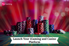  Launch Your iGaming and Casino Platform with Ease: Operators Guide Are you a new operators who want to set up their iGaming and casino platform ? Then yes! PieGaming is the only provider that can help you out. Our online gaming solutions like: white-label and turnkey solutions will deliver you with a fully-functional online casino website composed of various features. Don’t miss any chance and get your platform with PieGaming. 