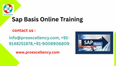  SAP Basis Online Training , particularly designed to offer in-intensity knowledge of  SAP device installation, configuration, and management . This sensible route offers real-time publicity to managing SAP structures, making it ideal for IT specialists, machine admins, and novices aspiring to build a technical SAP career. info@proexcellency.com, +91-9148251978,+91-9008906809use this promocode you have discount PROROJA 