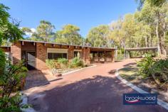  900 Kintore Rd Parkerville WA 6081 $1,050,000 Discover the perfect retreat on this stunning 5.07-acre native bush block, where tranquillity meets opportunity. Nestled at the end of a quiet cul-de-sac, this beautifully elevated 3×2 plus study or optional fourth bedroom brick and iron farmhouse-style home blends seamlessly into its natural surroundings. A meandering driveway leads you through the trees, unveiling a secluded sanctuary with a split-level floorplan, offering flexibility and charm. Enjoy the serenity of nature while still having the convenience of a powered workshop and 2.05 hectares of land, zoned RR1—providing exciting subdivision potential. Whether you’re seeking a peaceful lifestyle or an investment opportunity, this Parkerville gem offers privacy, space and endless possibilities. 3 bedrooms 2 bathrooms Plus study/4th bedroom 1980-built brick and iron Secluded bush setting High ceilings, exp beams AC, open fire, SC fireplace Central courtyard, patio 11m x 9m pw’d wkshop 5.07-acres with RR1 zoning Potential for subdivision Entry to this distinctive Perth Hills residence via a slate-tiled foyer, where arching jarrah steps and a gracefully curving wall announce a home unlike any other. This spacious multi-level property offers a unique layout, providing a canvas ready for your vision. The spacious kitchen and meals area, with a practical central island and twin electric wall ovens, provides a functional workspace where family dinners can be easily prepared. It is easy to imagine how this space could transform into an entertainer’s dream kitchen that becomes the true heart of this distinctive home. Adjacent is a generous mudroom/laundry with the potential to become a sophisticated scullery or butler’s pantry, enhancing both functionality and appeal for modern living. A versatile carpeted room with a slow-combustion fire and direct access to the sheltered patio could serve as an intimate snug on winter evenings, a dedicated library housing your collection or welcoming guest accommodation with its own entry. Teenagers will immediately recognise the potential for privacy here, with the adjoining office space completing a secluded domain away from the main living areas. The formal dining room overlooks a central courtyard, creating a sophisticated setting for dinner parties. Steps lead to a lateral family room with a quartet of tall windows that capture northwest light, complemented by an open fireplace for winter gatherings. Exposed beams and high ceilings accentuate the sense of volume in this central living area, while split-system air conditioning ensures year-round comfort. Slide open the glass door to access the central courtyard and indoor-outdoor living becomes seamless. The bedroom wing occupies a secluded section of the property, offering a peaceful retreat from daily activities. Three carpeted bedrooms, each appointed with built-in robes and individual climate control, provide comfortable accommodation for family or guests. The recently updated family bathroom presents a modern oasis with its soaking tub and double vanity, while a second WC off the laundry/mudroom offers practical convenience. The principal bedroom features its own ensuite. Step outside to discover the large, paved entertaining zone extending from the southern aspect of the home. Sheltered and edged with garden beds, this space invites long evenings of outdoor dining and conversation. Additional outdoor retreats include a charming gazebo and the central courtyard, each offering different perspectives to appreciate the natural beauty surrounding the home. The 11m x 9m powered workshop at the upper boundary, with a 4m high entry clearance is accessible via a pair of gates, serves practical needs well. With its concrete floor, lean-to and dedicated storage room, this multipurpose space is ready for your hobbies, projects or additional vehicle storage. As compelling as the home’s unique design is the 5.07-acre lot itself – a natural sanctuary of eucalypts, she-oak, zamia and seasonal wildflowers. The RR1 zoning presents a significant opportunity for subdivision, allowing you to maintain your private retreat while potentially capitalising on the development potential. This property represents a rare combination of immediate liveability and the promise of transformation into one of Perth Hills’ most notable residences—a chance to create a landmark home that perfectly balances architectural interest with the natural splendour of its setting. 