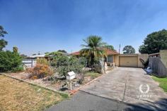  87 Lalor Rd Kenwick WA 6107 $580,000 - $600,000 Welcome to 87 Lalor Road, Kenwick — a solid 3-bedroom residence that’s ideal for both owner-occupiers and investors! This well-built residence sits on a spacious 683 sqm block, perfect for creating your ideal living environment or expanding for future growth. Significant upgrades have been undertaken with new ceilings & electrical lighting throughout, new kitchen cabinetry, flooring , plus a full internal paint job. This property offers an excellent opportunity for the new owner to add their personal finishing touches and truly make it their own. The stand out features / attributes of this property include: – 3 generous sized bedrooms – new floors to kitchen and main area’s – new ceilings and electrical lighting – security screens – undercover-secured parking – outdoor covered sunroom area – ducted evaporative air-conditioning – instant gas hot water system – separate workshop – fruit trees including grape vines – 683 sqm block zoned R17.5 Situated in a prime location with easy access to schools, parks, shopping centres, and public transport, 87 Lalor Road offers convenience, space, and untapped potential. For more information or arrange a viewing, call Steve Erceg or Trent Garrett on 0412 898 035. 