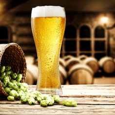  Brewers Supplies offers a wide range of quality ingredients, equipment, and tools for homebrewers and professional brewers alike. From hops and malt to fermentation gear and bottling essentials, we provide everything needed to craft exceptional beer from start to finish. 