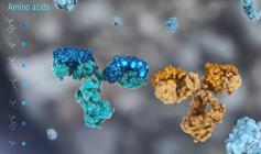  We supply high-quality products for our esteemed customers in academia, pharmaceuticals, biotech, CDMO, material sciences, and agriculture to support their research and production needs. Details about  ssDNA Oligo Synthesis 