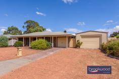  62 Railway Ave Middle Swan WA 6056 $575,000 Set on a wide-fronted lot, this designed family home offers the perfect balance of comfort and practicality with its sunken formal lounge, open-plan kitchen featuring rich walnut-toned cabinetry and three carpeted bedrooms. Ducted reverse cycle air conditioning brings year-round comfort, while the family room’s pitched timber-lined ceiling and sliding doors create seamless indoor-outdoor flow to the gable-covered alfresco area – perfect for entertaining. A standout bonus is the powered, lined and air-conditioned shed, previously used as a music studio, providing versatile space for whatever your lifestyle demands, all within easy reach of Midland city centre, schools and the beautiful Swan River. 3 bedrooms 1 bathroom 1981-built brick and iron Formal & informal living OP Kitchen/meals area Pitched-roof family room Powered AC studio space Carport with roller door Gable covered alfresco 603 sqm fenced backyard Close to transport/shops Follow the brick path that curves gracefully to the welcoming verandah of this wide-fronted family home. A tiled entry greets you as you cross the threshold. To your right, a sunken lounge creates a formal living area. Plush carpeting, a ceiling fan and an east-facing bay window create a perfect retreat for quiet evenings or entertaining guests. Ducted reverse-cycle air conditioning and individual units throughout the home ensure your comfort regardless of the season. The heart of this home unfolds as you move forward into the open-plan kitchen and dining area. Here, the practical meets the stylish: a U-shaped bench provides ample workspace, a freestanding oven, and rich walnut-toned cabinetry offers generous storage above and below. A clever servery connects the kitchen directly to the family room, making entertaining effortless. Convenience was clearly a priority in this home’s design. One side of the kitchen leads to a walk-through laundry that connects directly to the carport with its roller door. This transforms the mundane tasks of unloading groceries or shepherding children from car to home into a seamless experience. The family room features a distinctive pitched ceiling with timber lining. Sliding doors open to a gable-covered alfresco area, creating a natural flow between indoor and outdoor living spaces, an essential feature of modern living. Three carpeted bedrooms and a family bathroom sit off a short central hall extending from the open-plan living zone. Two bedrooms have built-in robes, and the main bedroom has a ceiling fan for additional comfort. Three carpeted bedrooms and a family bathroom sit off a short central hall extending from the open-plan living zone. Two bedrooms have built-in robes, and the main bedroom has a ceiling fan for additional comfort. A powered and lined shed with a roller door sits along the northern boundary, offering practical multi-use potential. Previously a music studio, this air-conditioned, versatile space could serve as a retreat, a teenager’s sanctuary, or a dedicated creative workspace – a valuable bonus room with multiple uses. Location completes this property’s appeal, with Midland city centre, arterial roads, and schools, including North Metropolitan TAFE, all within easy reach. Nearby parks, sporting facilities, and the natural splendour of the Swan River support active lifestyles. This home offers comfort, convenience, and scope for personalisation, perfect for first-home buyers ready to put down roots or downsizers unwilling to compromise on space and lifestyle. 