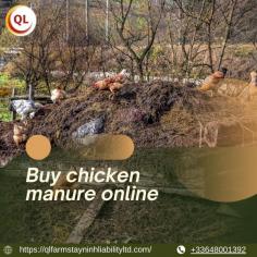 Looking to buy chicken manure online in Vietnam? QL Farms makes it easy to order premium, composted chicken manure from the comfort of your home or farm. Our organic chicken manure is thoroughly processed, odor-free, and packed with essential nutrients to enhance soil fertility and promote robust plant growth.