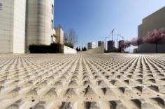  Transform your outdoor spaces with expert decorative concrete Sydney services by Coalesce Concreting. From stamped to coloured finishes, we create eye-catching concrete surfaces that add style and value to any property. 