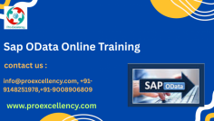  SAP OData (Open Data Protocol) Online Training has emerged as a fundamental device for permitting seamless conversation between SAP structures and outside programs. With the growing adoption of SAP Fiori, SAPUI5, and cloud-based answers, gaining knowledge of SAP OData services has turn out to be crucial for SAP professionals aiming to excel in API integration and present day SAP landscapes. https://www.proexcellency.com/products/sap-odata-online-training info@proexcellency.com , +91-9148251978,+91-9008906809 
