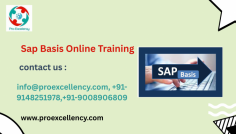  SAP Basis Online Training , a complete and sensible application designed to help you construct a robust basis in SAP device administration and control. Whether you are an aspiring SAP representative, IT professional, or brisker seeking to begin a career in SAP, this course gives the in-call for talents had to achieve today’s aggressive activity marketplace. SAP Basis is the technical backbone of all SAP systems. It includes gadget configuration, person management, database control, gadget monitoring, performance tuning, and making sure the safety and stability of SAP environments. info@proexcellency.com, +91-9148251978,+91-9008906809 