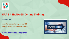  SAP S/4HANA SD Real-Time Project Training with the aid of ProExcellency – Best Rated in Hyderabad, 2025 SAP S/4HANA SD Real-Time Project Training in Hyderabad , incomes top rankings and popularity among ERP education institutes across India. This training is designed specifically for folks who want not most effective theoretical understanding but also real-international enjoy thru palms-on assignment paintings aligned with present day industry standards. The Sales and Distribution (SD) module in SAP S/4HANA is essential for companies to control consumer transactions, sales orders, shipping, billing, and credit score methods. With the global shift to S/4HANA, employers are looking for specialists who aren't just certified, however able to operating on actual implementation, assist, and rollout initiatives. ProExcellency’s schooling bridges this hole via immersing beginners in actual-time enterprise eventualities. info@proexcellency.com , +91-9148251978,+91-9008906809 