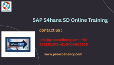  SAP S/4HANA SD Real-Time Project Training Using ProExcellency Solutions – Top of Bangalore 2025 Mastering SAP S/4HANA SD (Sales and Distribution) Online Training  in 2025 will require more than just understanding theory; it will also require putting one's skills to use in actual situations. As businesses in India and across the globe continue to implement SAP S/4HANA, there’s a high demand for consultants who can handle live projects confidently.  info@proexcellency.com, +91-9148251978,+91-9008906809  
