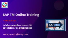  SAP TM (Transportation Management) route with certification , offered by using Proexcellency Solutions , one of the top-ranked SAP schooling institutes in Bangalore in 2025. This complete and profession-focused course is designed to equip freshmen with the theoretical expertise, fingers-on revel in, and certification aid had to emerge as a gifted SAP TM representative. SAP TM is a key module in the SAP S/4HANA suite, designed to help businesses control their transportation methods efficaciously. https://www.proexcellency.com/products/sap-tm?_pos=1&_psq=sap+tm&_ss=e&_v=1.0 info@proexcellency.com , +91-9148251978,+91-9008906809 