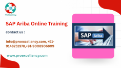   SAP Ariba Certification Training Course Top score of Bangalore 2025   offered by ProExcellency Solutions is the greatest in Bangalore for 2025. SAP Ariba has become the world leader in cloud-based sourcing and procurement solutions as supply chain management and procurement become digital-first operations. Businesses worldwide utilize SAP Ariba to monitor their expenditure visibility, contract lifecycles, sourcing strategies, and supplier networks. In this dynamic ecosystem, there is a greater need than ever for qualified SAP Ariba specialists. In this respect, ProExcellency Solutions offers the top SAP Ariba certification training course in Bangalore for 2025. info@proexcellency.com , +91-9148251978,+91-9008906809 