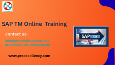  SAP TM Training Online Institute – ProExcellency Solutions. SAP Transportation Management (SAP TM) is one such effective module within the SAP ecosystem that allows organizations streamline transportation making plans, execution, and value management. If you are meaning to construct a a success profession in this niche, enrolling within the proper schooling institute is important. https://www.proexcellency.com/products/sap-tm?_pos=1&_psq=sap+tm&_ss=e&_v=1.0 info@proexcellency.com, +91-9148251978,+91-9008906809 