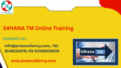  SAP TM S/4HANA Certification Training – Using Proexcellency Solutions profession in supply chain and logistics with SAP TM S/4HANA Certification Training , offered via Proexcellency Solutions , one of the top-rated SAP education institutes in Bangalore in 2025. This direction is particularly designed for professionals aiming to construct understanding in transportation control the usage of the superior abilties of SAP S/4HANA. SAP Transportation Management (TM) in S/4HANA is an integrated module that allows companies to streamline transportation planning, execution, and freight cost management. info@proexcellency.com, +91-9148251978,+91-9008906809 