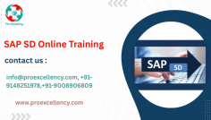  Job-Ready SAP SD Online Course from Bangalore’s Leading Institute – Proexcellency Solutions  Do you want to get started or advance in your SAP career with a focus on the Sales and Distribution (SD) module? Look no further than Proexcellency Solutions, Bangalore’s leading SAP training institute, offering a Job-Ready SAP SD Online Course tailored to meet industry demands and placement goals.  Whether you're a fresh graduate, working professional, or career switcher, this course is the perfect platform to build your expertise and secure a rewarding job in the SAP domain.   info@proexcellency.com , +91-9148251978,+91-9008906809 