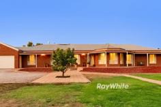  8 Forrester Court Nichols Point VIC 3501 $1,199,000 - $1,318,000 Damian Portaro, Principal & Chairman's Elite Sales Agent at Ray White Mildura, proudly presents 8 Forrester Court, Nichols Point-a stunning lifestyle property offering space, flexibility, and an exceptional standard of living. Set on an expansive 4,011sqm (1 acre) allotment, this beautifully styled family home is designed for those who appreciate quality, comfort, and room to grow. The main residence features four spacious bedrooms, including a master suite with an ensuite, while the remaining bedrooms offer built-in robes and share a central bathroom. With three distinct living areas, a study, and a modern stone benchtop kitchen complete with a walk-in pantry, the home effortlessly caters to large families and entertainers alike. Step outside to discover a secure, private yard with an incredible outdoor living area, perfect for hosting year-round gatherings. The highlight? A sparkling, in-ground heated pool that adds the perfect touch of resort-style luxury. For the tradesperson or hobbyist, the 7m x 9m shed with a concrete floor and power provides excellent storage and workspace, while a double garage ensures secure parking. Adding to the appeal, this property boasts a second fully self-contained residence-far more than just a granny flat! This additional home features three bedrooms, stone benchtops throughout, and an open-plan meals, living, and kitchen area, along with its own double garage. Ideal for extended family, guests, or even rental income, this second dwelling enhances the property's versatility. Positioned in the sought-after Nichols Point community, just minutes from local schools, shopping, and the Murray River, this is a rare opportunity to secure a premier family home with incredible extras. 