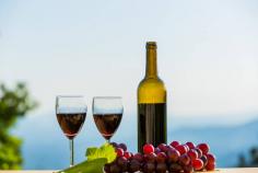  Best Wineries In Peninsula - Kirigin Cellars Kirigin Cellars offers the ideal fusion of fine wines and historic charm. Take pleasure in picturesque surroundings, expertly crafted wines, and a laid-back, friendly ambiance—perfect for informal tastings, private gatherings, or just enjoying the finest of California wine region. For more visit us! https://g.co/kgs/EKgEWnz 