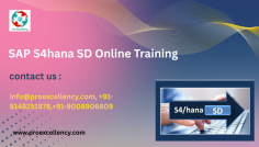  SAP S/4HANA Sales and Distribution module  In the evolving landscape of business enterprise useful resource making plans (ERP),  SAP S/4HANA  has emerged as a recreation-changer for companies worldwide. At the heart of many business enterprise techniques lies the  Sales and Distribution (SD)  module, which manages the whole lot from order advent to billing and client shipping. With industries adopting SAP S/4HANA at scale, experts with licensed know-how in  SAP S/4HANA SD  are tremendously widespread.  info@proexcellency.com, +91-9148251978,+91-9008906809 