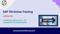  Proexcellency Solutions Offers Top-Rated SAP Transportation Management Certification Training in Chennai | 2025  SAP TM Online Training In a time when effective supply chain and logistics management are essential to company success, SAP Transportation Management (SAP TM) has emerged as a crucial component for businesses utilizing SAP S/4HANA. SAP TM is highly sought after by multinational corporations due to its capacity to automate, optimize, and streamline transportation processes.  info@proexcellency.com, +91-9148251978,+91-9008906809 