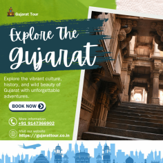  Embark on a remarkable journey with our Gujarat Tour Package and explore the true essence of Gujarat. From majestic temples and royal palaces to sun-kissed beaches and vibrant wildlife sanctuaries, every destination unfolds a new story. 
 With Gujarat Tour, you’ll experience rich traditions, diverse culture, ancient heritage, and warm hospitality as you travel through iconic places like Ahmedabad, Dwarka, Somnath, Diu, and Gir. 
 Let us take you beyond the usual routes to uncover Gujarat’s hidden gems and celebrated wonders. Explore the Gujarat like never before—with comfort, authenticity, and unforgettable memories. 