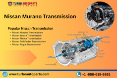  The 2009
Nissan Murano transmission is a widely known mid-size SUV for its elegant
design, high-end amenities, and comfort while driving. Still, one of the
features that has stirred the most conversation in this vehicle is its
Continuously Variable Transmission (CVT).  

 Read More :- https://turboautoparts.com/blog/used-transmission/buy-2009-nissan-murano-used-transmission 
 