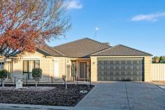  15 Claret Avenue Virginia SA 5120 Nestled in the heart of Virginia, 15 Claret Avenue offers the perfect blend of comfort, convenience, and family living, making it an ideal retreat for those seeking space and modern amenities. Virginia, just a short 35-minute drive from the city and with easy access to Port Adelaide, Semaphore, and the scenic Copper Coast, offers a lifestyle that's both peaceful and practical.. Designed with families in mind, this home boasts a spacious 4-bedroom plus study layout, ensuring there's room for everyone. The master suite is a true retreat, complete with a his-and-hers ensuite with bath and a spacious walk-in robe. Bedrooms 2 and 3 feature built-in robes, making storage effortless and bedroom 4 with access to the alfresco. The flow of natural light throughout the home adds to its inviting atmosphere, and the cool tones enhance the overall contemporary appeal. For families who enjoy both private and communal spaces, this home has been thoughtfully designed with an abundance of living areas. A separate formal lounge provides a perfect parents retreat, while the open-plan living area is ideal for entertaining, featuring a well-appointed kitchen, meals area, and additional family or games room.. This space is versatile, whether it's a spot for the kids to play or a space to host friends over a pool table. The kitchen complete with a large L-Shape island breakfast bar, overhead cupboards, a 900mm oven and 5-burner stove, a dishwasher and a spacious pantry - perfect for those who love to cook or entertain. This home continues to impress with its exceptional storage options and modern comforts, including roller shutters, ceiling fans and ducted gas heating and ducted evaporative cooling to ensure year-round comfort. Outside, the property shines even brighter, offering a substantial 1200 sqm allotment that truly has something for everyone. The large alfresco entertaining area under main roof is designed for outdoor living, featuring weather blinds and ceiling fans, ideal for enjoying long evenings with family and friends. For those with hobbies or the handyman of the household, the property also includes a a double garage UMR with an electric tilt door with PA door to the rear garden and one to the internals of the home. A large 4 car 5.4m x 5.8m colorbond garage complete with power and concrete flooring with sliding doors to the front and rear - perfect for any project or additional storage needs. In addition, there are lockable gates on 2 separate areas allowing ample secure storage for a caravan and trailer, still with ample off street parking facilities. The kids and family pets will have plenty of space to run and play on the large lawn area, and with the addition of a vegetable patch and fruit trees, you'll have everything you need to live sustainably. Multiple rain water tanks offering over 40,000 litres of additional water supply with Davey pumps ensure that maintaining the beautiful landscape is a breeze. The outstanding infrastructure doesn't stop here!! The in ground salt chlorinated, fibreglass swimming pool is surrounded by quality paving that has an area that will accommodate your table and chairs behind pool regulated fencing. The pool is also supplied by 2 rain water tanks (one being 5,000L the other 1,000L) offering a leisure lifestyle for all ages of the family. To top it all off, the home is powered by a 5kw solar system, helping to reduce energy bills and contribute to a more eco-friendly lifestyle. What we love: Executive residence - 4 good size bedrooms Study Master with his and hers ensuite, bath and large walk in robe Bedrooms 2 and 3 with built in robes Bedroom 4 with access to alfresco Open plan kitchen, meals living and family room Separate formal lounge room Modern bathroom and laundry Ducted evaporative cooling and ducted gas heating 5kw Solar Power Under main roof alfresco entertaining area Roller shutters 5.4m x 5.8m workshop with concrete floor, power and rear access Established gardens Double carport with roller door Salt chlorinated inground pool Rain water tanks Side driveway with side gates With its combination of practicality, space, and extensive infrastructure, 15 Claret Avenue offers an exceptional opportunity for those looking to enjoy the best of family living in the heart of Virginia. Whether you're working from home, entertaining guests or simply enjoying time with the family, this home has everything you need and more. 