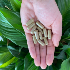  Get the powerful nutrition of organic, grass-fed Australian beef liver —without the taste. Each capsule delivers essential B vitamins, iron, zinc, and more. Convenient and versatile, take four daily or open and mix into smoothies or meals. Freeze-dried to preserve nutrients. High-quality, hormone-free, and certified humane—pure organ goodness made easy for everyday wellness. 