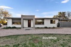  262 Mcedward Street Cabarita VIC 3505 $540,000 - $593,000 Dakota Whitehouse, Sales Agent & Marketing Specialist at Ray White Mildura, invites you to discover a home that perfectly blends rural charm with urban convenience; a lifestyle opportunity with genuine flexibility. Set on a fully fenced 2,987sqm allotment, this three-bedroom property offers the freedom of country living without leaving the benefits of town behind. From the moment you arrive, the sense of space is unmistakable. Picture weekend afternoons beneath established trees, kids and pets roaming safely, while you tend the veggie garden, collect eggs from the chook pen, or entertain friends in the undercover outdoor area. The land is secure, private, and ready for more, with ample room to expand or add additional shedding in the future (STCA). Inside, the home has been tastefully updated, featuring a modern kitchen with stone benchtops and a fresh, stylish bathroom. All the hard work has been done, simply move in and start enjoying. Adding even more value is the fully furnished, self-contained granny flat, currently leased at $250 per week. Whether you choose to continue earning passive income or offer a private space for extended family, the versatility here is unmatched. A rare blend of space, lifestyle, and income, this is Sunraysia living at its most complete. 
