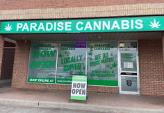  Weed Stores Brockville - Paradise Cannabis Paradise Cannabis offers high-quality cannabis products at their weed stores brockville . Explore a wide range of premium flowers, edibles, vapes, and accessories in a welcoming, knowledgeable environment. Paradise Cannabis promises a joyful and secure shopping experience in Brockville, regardless of your level of cannabis experience. For more visit us! 