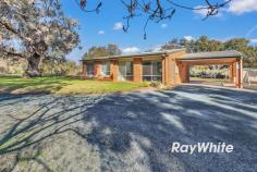  496 Lady Augusta Road Echuca VIC 3564 This ideal property on the edge of town is set on approximately 9670sqm and would suit anyone looking for a bit of room to move. The brick veneer home boasts 3 bedrooms with a 2 way bathroom off the master bedroom, open plan kitchen/living area. The kitchen has ample bench space and features electric cooktop and oven, split system heating and cooling to keep you comfortable all year round. There is good shedding with a 5m x 14m shed perfect for storage and a 6m x 14m workshop with concrete flooring and power with a carport/lean-to off the side as well as a single carport attached to the home. Tank water and raw water (1meg) service the property and there is an ornamental dam and deck area. Properties like this are hard to find so dont let this one slip by. 