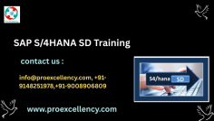  SAP S/4HANA SD (Sales and Distribution) Online Training presented by Proexcellency Solutions , a pinnacle-tier SAP education institute primarily based in Bangalore, is designed to offer in-depth functional and practical information of the SAP SD module. This on line schooling software is ideal for freshers, running professionals, and people looking to shift their careers into the short-developing SAP area. SAP SD is one of the most vital modules inside the SAP S/4HANA suite, responsible for dealing with all business processes related to order control, sales, shipping, billing, and credit manipulate. info@proexcellency.com 