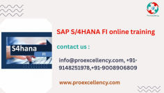  SAP S/4HANA FI online training Top of Bangalore    offered via Proexcellency Solutions , one of the pinnacle schooling institutes in Bangalore. As organizations rapidly transition to SAP S/4HANA to modernize their economic operations, the call for for experts educated in Financial Accounting (FI) at the S/4HANA platform is soaring. Proexcellency’s established and industry-relevant schooling application is designed to help you construct strong foundational information and sensible talents, whether you are a novice or an skilled finance expert. info@proexcellency.com 