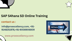  SAP S/4HANA SD (Sales and Distribution) Online Training    SAP S/4HANA SD (Sales and Distribution) is a vital module that supports key enterprise tactics inclusive of order-to-cash, customer control, delivery, billing, and income reporting. With most worldwide corporations the usage of SAP for their ERP desires, licensed SAP SD professionals are in excessive call for. Proexcellency Solutions guarantees that its education is aligned with the modern-day industry traits and certification standards, providing you with the competitive facet needed in nowadays’s task marketplace. info@proexcellency.com https://www.proexcellency.com 