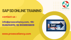  SAP SD (Sales and Distribution) Training Top of Bangalore , which plays a vital function in dealing with income, billing, shipping, pricing, and purchaser relationship management. To help aspiring professionals construct expertise and secure promising career possibilities, Proexcellency Solutions gives a comprehensive SAP SD Module Course with Placement Support . This path is carefully designed to take learners from the fundamentals of SAP SD to superior standards, ensuring they benefit complete know-how of the module. From sales order processing and shipping control to billing, credit management, and pricing, every concept is taught with a practical, step-with the aid of-step method . more info you should Approach in this email Id & get Discount 
rakshith@proexcellency.com 