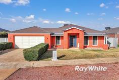  2 Wren Court Echuca VIC 3564 $689,000 How good is this property? Offering everything you need from 4 bedrooms (master with ensuite and walkin robe), formal lounge and a rear rumpus room. The centre of the home boasts a well appointed kitchen with island bench, dining and living area as well as direct access to the double garage and the undercover entertaining decked area. There is also rear yard access for those with a caravan or boat. The home is kept comfortable all year round with ducted heating and cooling and positioned in a quiet court this will tick all your boxes. The electric bills will be kept at a minimum with 20 solar panels installed. 