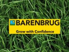  Top Grass Seed Companies | Trusted Lawn & Turf Experts Find the best grass seed companies offering premium seed blends for lawns, sports fields, and large landscapes. Our featured companies specialize in high-germination, climate-adapted grass varieties to ensure lush, green results. Whether you need seed for sun, shade, drought, or high-traffic areas, these suppliers provide reliable solutions backed by years of research and customer satisfaction. Trusted by homeowners, landscapers, and turf professionals, these grass seed companies offer fast shipping, expert guidance, and guaranteed seed quality. Choose from certified blends and custom mixes for any region or application. Compare top-rated suppliers and order the perfect seed for your needs today. 
 