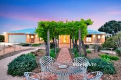  86 McEdward Street Birdwoodton VIC 3505 $1,199,000 - $1,319,000 Damian Portaro Chairman's Elite Agent and Managing Director proudly present for sale one of Birdwoodton's most masterfully designed lifestyle homes - welcome to The Ridge, a residence where every square inch has been curated for liveability, timeless appeal and year-round comfort. Tucked away on nearly 3 acres in a private, prestige pocket of Birdwoodton, this remarkable 2022-built residence stretches across more than 54 squares under roof and fuses country character with modern brilliance. From the recycled brick façade framed by 100-year-old transplanted vines, to the sweeping verandahs and thoughtfully reversed floorplan that maximises views and shields you from the sun, this is design done with intention. Inside, 9-foot ceilings elevate every space while ducted reverse cycle heating and cooling ensures climate control through every season. The expansive master suite is a retreat in its own right with a huge walk-in robe, luxe ensuite with double shower, dual vanities and underfloor heating. Three further bedrooms offer flexibility, with the fourth doubling as a generous home office or nursery. Entertainers will fall in love with the open plan kitchen, meals and dining zone. Anchored by stone benchtops, dual Bosch ovens, 900mm cooktop, two dishwashers, and a full butler's pantry, it effortlessly connects to the vast outdoor deck. This fully enclosed, heated alfresco space - complete with a slow combustion fireplace and multiple zones - is where unforgettable moments are made. The inclusion of an auto electric lawnmower and established landscaping makes upkeep minimal. Practical elements have not been overlooked. A large separate lounge with gas log fire, spacious laundry and mudroom, underfloor heating in the main bathroom, 10.3kW of solar, an oversized garage for large vehicles and a sensational 18m x 6m shed with sink and toilet all complete the picture. Set in a prime Sunraysia location with easy access to Mildura and renowned for its lifestyle appeal, The Ridge is a statement in both design and soul. 