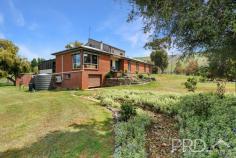  777 West Gilmore Road Gilmore NSW 2720 $1,269,000 Nestled in the heart of the picturesque Gilmore Valley and set upon a generous an approximate 21-acre lifestyle allotment. This stunning four-bedroom family home with an expansive internal floor plan and versatile living options, is sure to not last long. Boasting four great sized bedrooms, additional formal study, two bathrooms, multiple indoor and outdoor living and entertaining options, all complimented by a plethora of infrastructure amongst landscaped grounds, this really is the idyllic small acreage lifestyle property you have been looking for. Do not miss your opportunity to secure this stunning property nestled within picturesque surrounds. Call Jed today to book your private inspection! Premiere Features: - Four great sized bedrooms all positioned away from major living areas and three boasting built in robes and all with ceiling fans - Fully renovated main bathroom with underfloor heating, large single vanity, shower and toilet - Second shower and toilet each positioned separately directly off the laundry - Tastefully designed and renovated kitchen with skylight, positioned in the heart of the home and offering electric cooktop, a plethora of storage options including large walk-in pantry, dual sink options, timber benchtops and strip lighting under overhead cabinetry - Formal dining area with direct external access to the undercover entertaining area and reverse cycle air conditioning - Formal study off the dining area (large enough for fifth bedroom option) - Expansive and light filled living area with spotted gum timber flooring, wood box fire with sandstone feature wall and reverse cycle air conditioning - Second living area or rumpus positioned on the upper-level offering privacy and panoramic views of the picturesque countryside, also complimented by reverse cycle air conditioning - Large laundry with direct access to rear mudroom, back enclosed entertaining area and also the kitchen - Large built-in verandah, fully covered with light and power and direct access from the main living and to the rear externals - Additional linen in hall - Mudroom area positioned upon access to the laundry from the externals - Single lock up garage located under the home - Additional large secure cellar area under the home - Outdoor entertaining area, fully covered and overlooking the landscaped grounds - 15kw solar power system connected - Ample rainwater tanks positioned around the house and shedding also including water license servicing - Landscaped house grounds with a combination of fruit, ornamental and native mature trees throughout - Over 600m² of shedding (three sheds) including carport area, hardstand and machinery storage, plus workshop areas and approximate 4.2m x 3m cool room and two stand shearing shed - 1,000ltr fuel stand - Approximate 21-acre allotment with large dam and includes secondary parcel adjacent West Gilmore Road divided into two paddocks with water tanks, pump from creek and small shack, also boasting sheep yards adjacent the woolshed - All terrain vehicle and zero turn mower included in the purchase and both in great condition - The residence is being offered fully furnished Do not miss your opportunity to secure this idyllic lifestyle family home in the heart of the picturesque Gilmore Valley. 