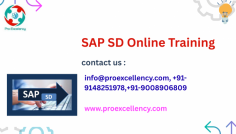  SAP SD Online Training Renowned for its exceptional, actual-time education, and placement-pushed programs, ProExcellency has turn out to be the cross-to institute for each freshers and working professionals in search of a solid career in SAP. SAP SD is a crucial module inside the SAP ERP system, utilized by international organizations to manage income, customer support, distribution, pricing, and billing procedures. With extra companies shifting to SAP S/4HANA , the demand for trained and licensed SAP SD experts continues to develop. ProExcellency Solutions addresses this call for with an expertly designed curriculum and industry-orientated training approach. info@proexcellency.com more info you should Approach in this email Id & get Discount rakshith@proexcellency.com
 
