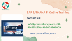  SAP S/4HANA FI online training Top of Bangalore program designed to assist learners advantage each practical and technical expertise of SAP’s modern day ERP finance module. Whether you are an SAP consultant, finance professional, or career aspirant, this training equips you with the competencies needed to manipulate economic transactions and reporting in a modern, real-time commercial enterprise environment. more info you should Approach in this email Id & get Discount  rakshith@proexcellency.com 